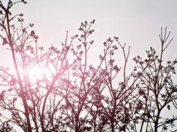 Cozy Historic District Room