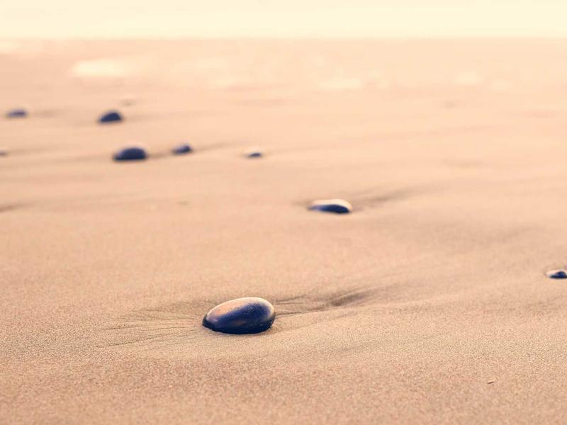 Elegant Arts District Apartment