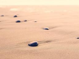 Elegant Arts District Apartment