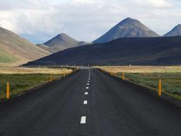 Elegant Uptown Apartment