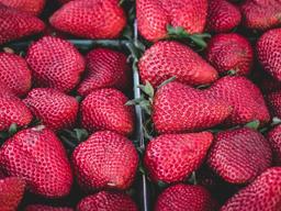 Luxury Mountain View Villa