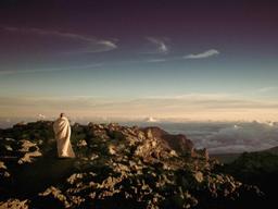 Peaceful Uptown Cottage