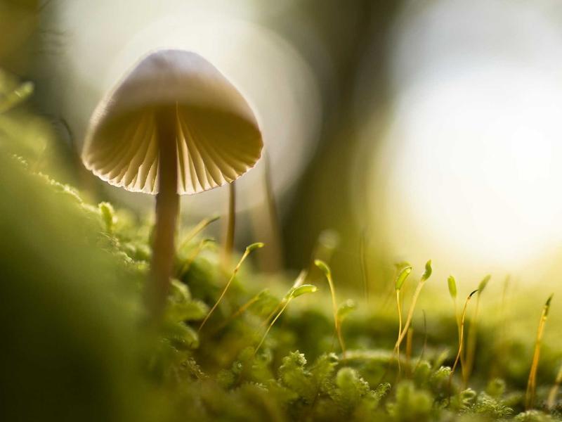 Stylish Lakeside Villa